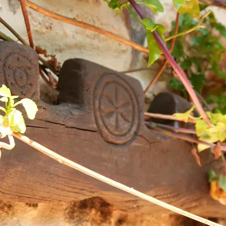 A Casa De Filomena